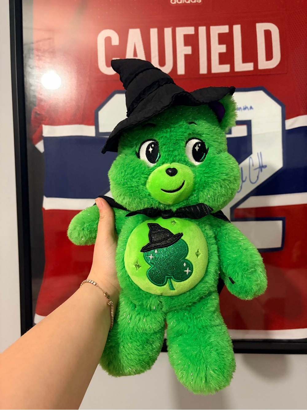 Wicked Elphaba Care Bear